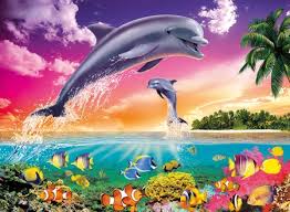 dolphins