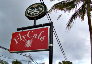 fly-cafe-2