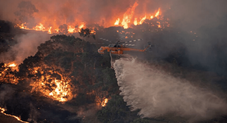 Screen Shot 2020-01-04 at 10.47.19 am